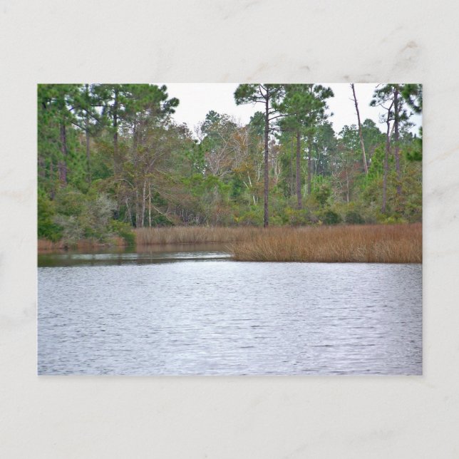 Carte Postale Sur L'Eau (Devant)