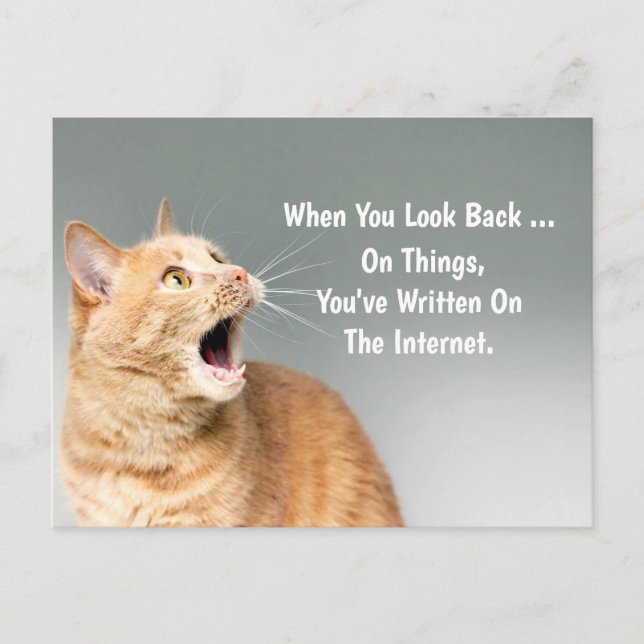 Carte Postale Sur les choses que vous avez écrites sur Internet  (Devant)