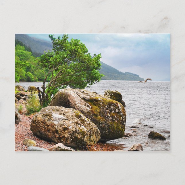 Carte Postale Sur les rivages de Loch Ness avec le monstre (Devant)