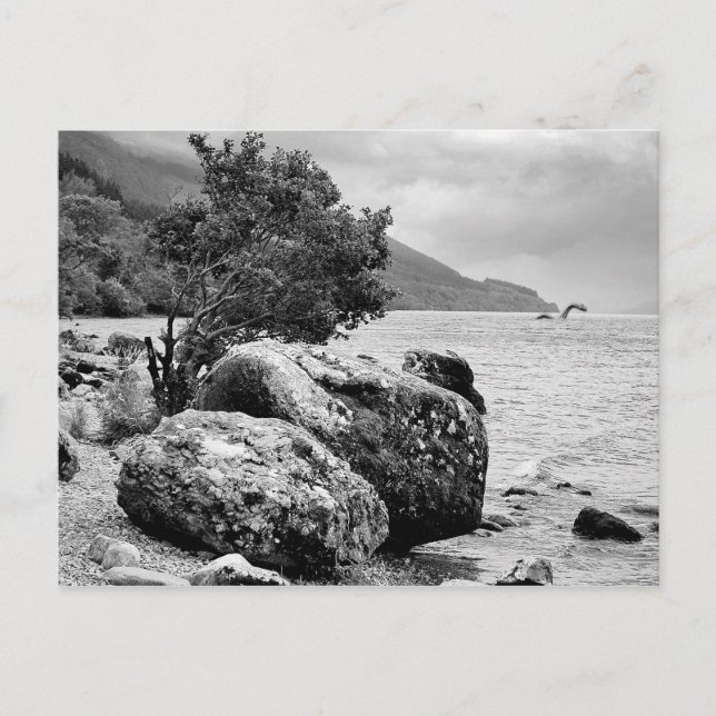 Carte Postale Sur les rivages de Loch Ness avec le monstre (Devant)