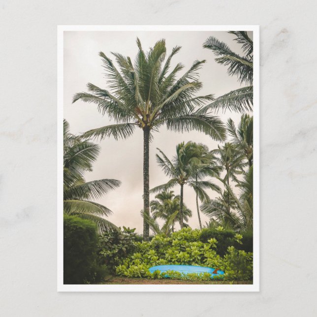 Carte Postale Surf Board Under a Palm Tree Hanalei Beach Kauai (Devant)