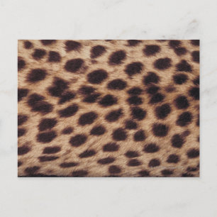 Carte Postale Surface du félin tacheté