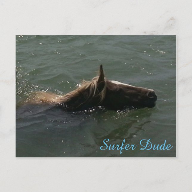 Carte postale Surfer Dude (Devant)