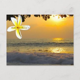 Carte Postale Surfers hawaïens