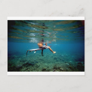 Carte Postale Surfeur assis sur le surf sur la barrière de corai