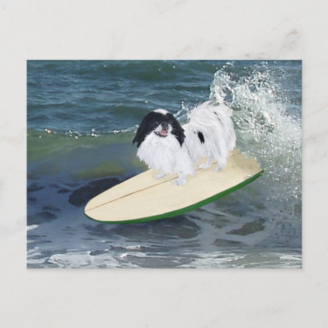 Carte Postale Surfing de Chin Japonais (Devant)
