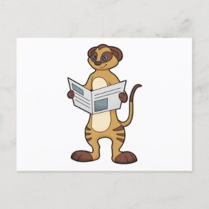 Carte Postale Suricate en train de lire un journal