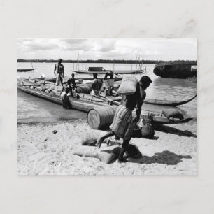 Carte Postale Suriname Beach