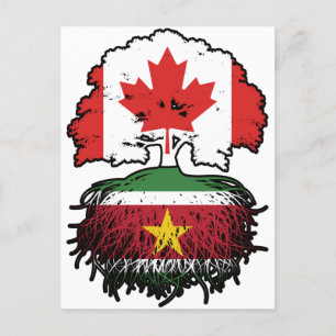 Carte Postale Suriname Surinamais Canadian Canada Tree Roots