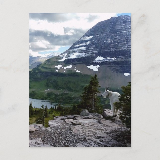 Carte Postale Surplomb du lac caché Glacier National Park Montan (Devant)