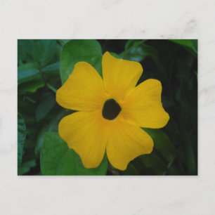 Carte postale Susan aux yeux noirs