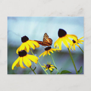Carte Postale susan noir-eyed avec le papillon 1