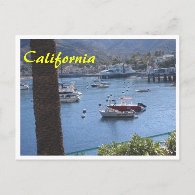 Carte postale Sushi California (Devant)