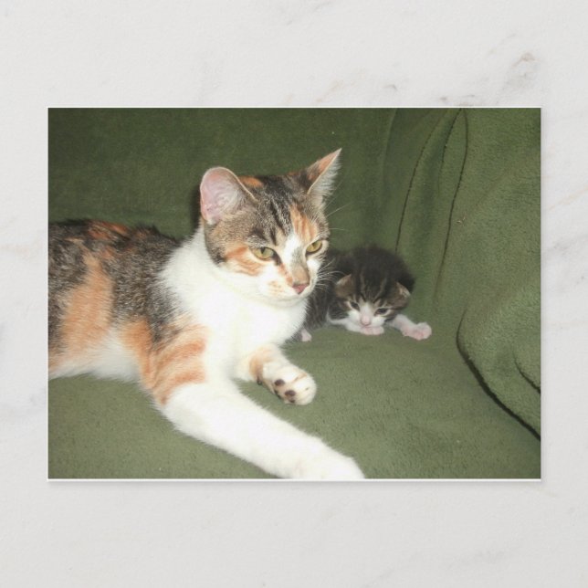 Carte Postale Suspendu (Devant)