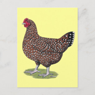 Carte Postale Sussex : Hen Speckled