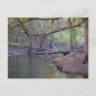 Carte Postale Suwannee River