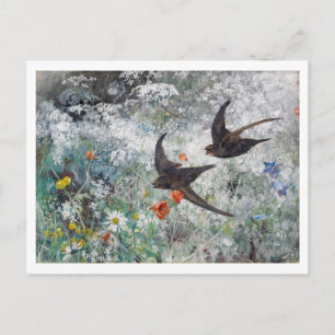 Carte Postale Swallow and Flower Field, Bruno Liljefors