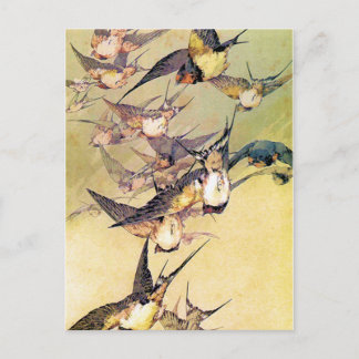 Carte Postale Swallows