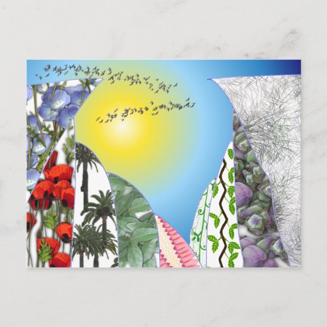 Carte Postale Swallows (Devant)