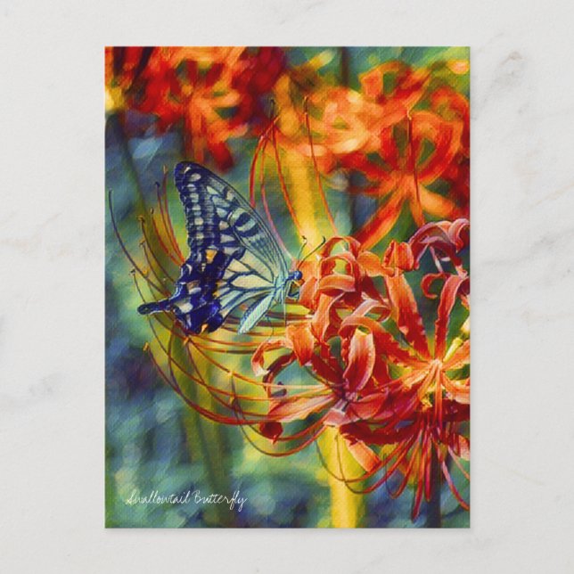 Carte Postale Swallowtail Butterfly：Postcard (Devant)