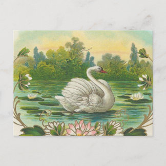 Carte Postale Swan