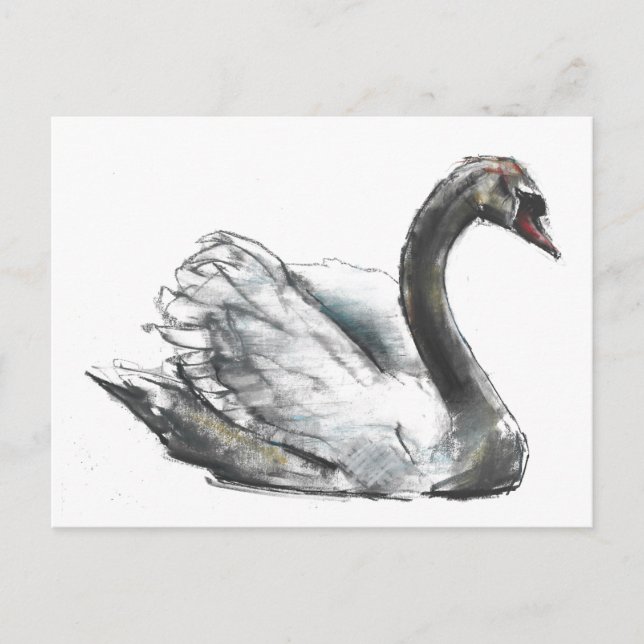 Carte Postale Swan (Devant)