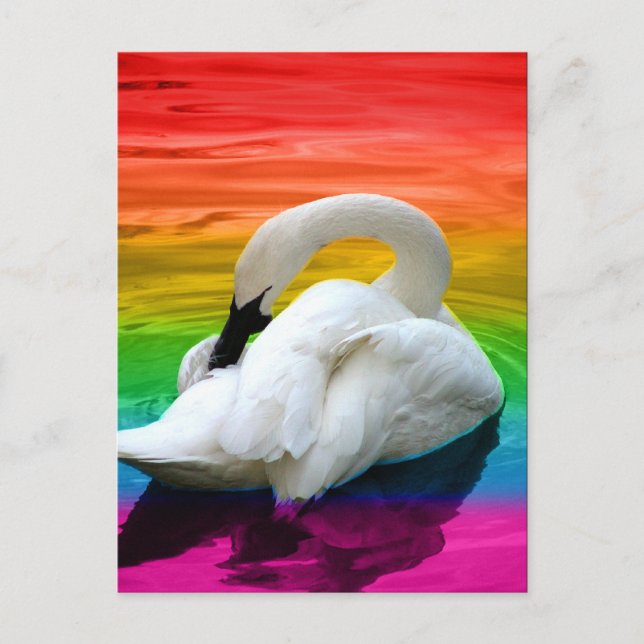 Carte Postale Swan arc-en-ciel (Devant)