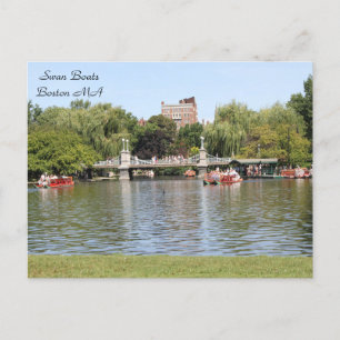 Carte Postale Swan Boats, Boston, MA, photographie