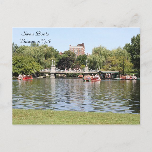 Carte Postale Swan Boats, Boston, MA, photographie (Devant)