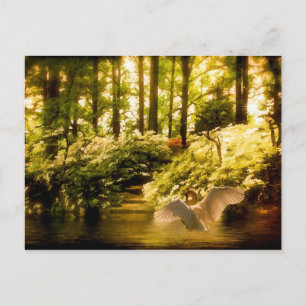 Carte postale Swan Dreamy