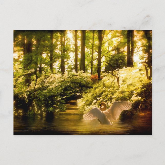 Carte postale Swan Dreamy (Devant)