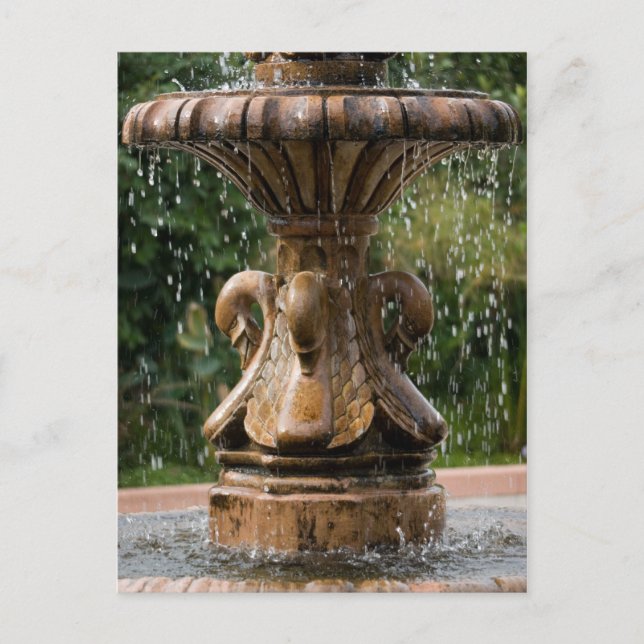 Carte postale Swan Fountain (Devant)