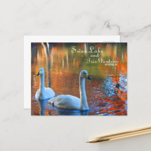Carte Postale Swan Lake et Iris Gardens, Sumter, SC