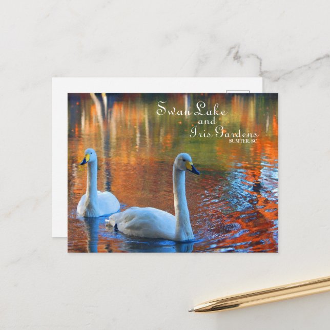 Carte Postale Swan Lake et Iris Gardens, Sumter, SC (Devant/Arrière en situation)