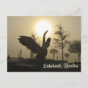 Carte Postale Swan Silhouette Lakeland Florida