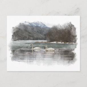 Carte postale Swans