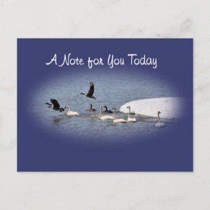 Carte postale Swans & Geese-oval-personnaliser