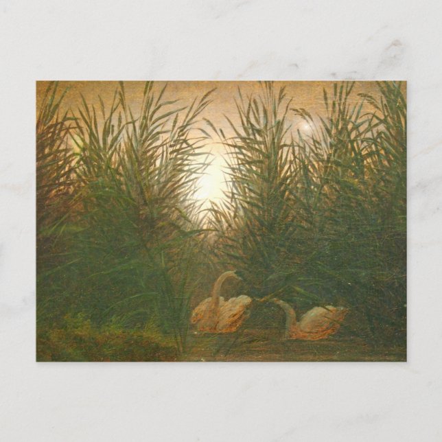 Carte Postale Swans in the Reeds par Caspar David Friedrich Post (Devant)
