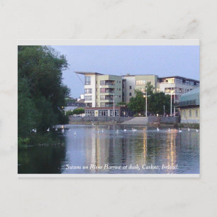 Carte Postale Swans sur River Barrow, Carlow Town, Irlande