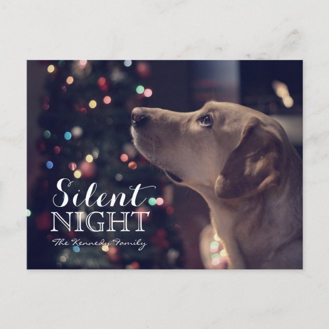 Carte Postale Sweet Doggie Regardant L'Arbre (Devant)