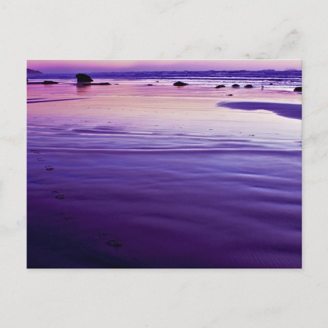 Carte Postale Sweet Dreams - Bandon, Oregon (Devant)
