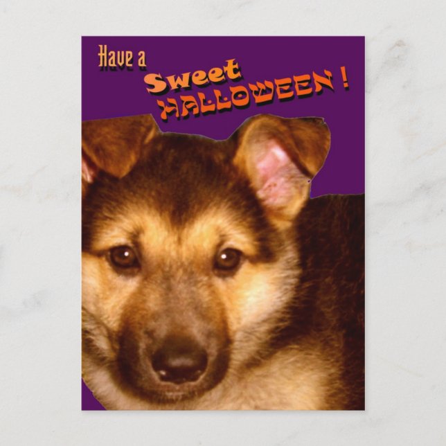 Carte postale Sweet Halloween (Devant)