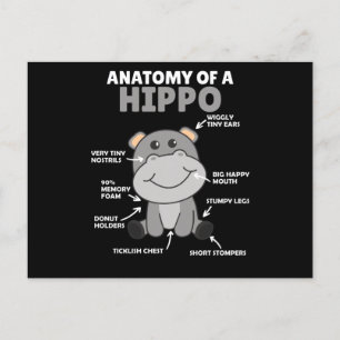 Carte Postale Sweet Hippo, instruction Anatomie d'un hippo
