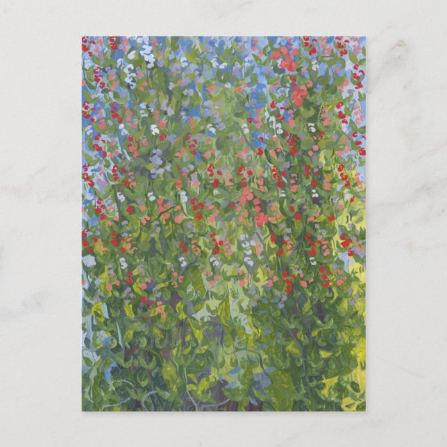 Carte Postale Sweet Peas 2014 (Devant)
