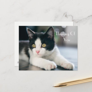 Carte Postale Sweet "Penser à vous" Tuxedo Kitten Salutation