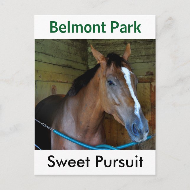 Carte Postale Sweet Pursuit par Posse (Devant)