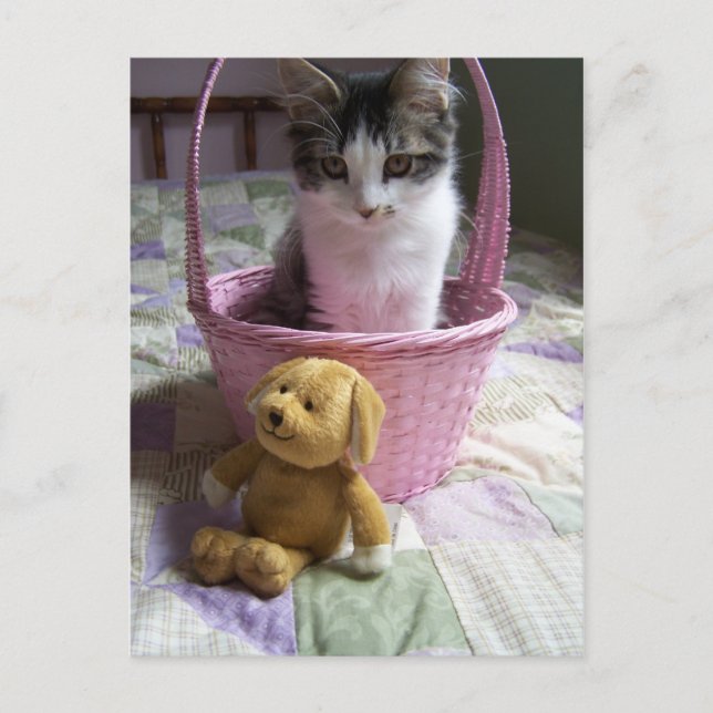 Carte postale SweetieKitty (Devant)