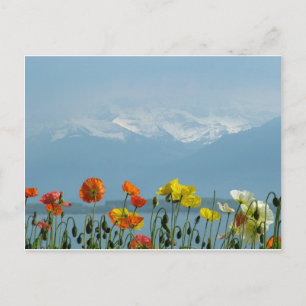 Carte Postale switzerland-16800