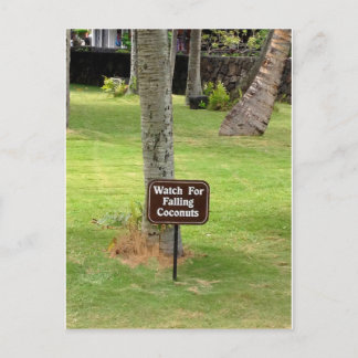 Carte Postale Symbole d'avertissement de noix de coco Hawaii