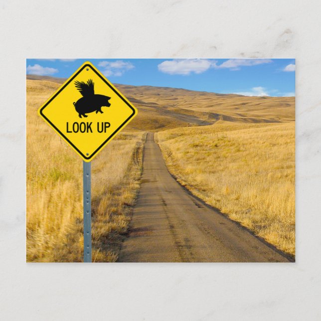 Carte Postale Symbole de porc volant (Devant)